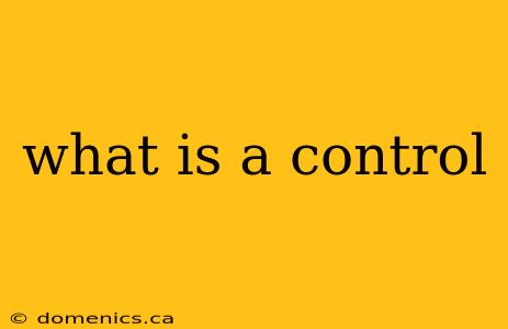 what is a control