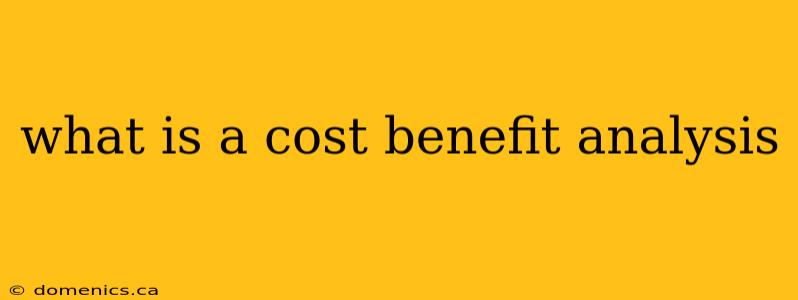 what is a cost benefit analysis