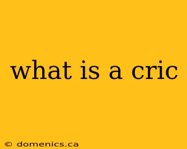 what is a cric