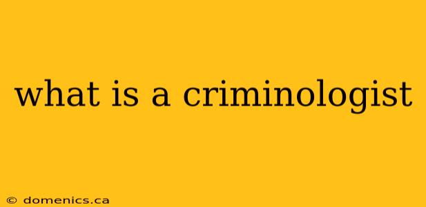 what is a criminologist