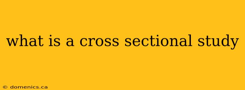 what is a cross sectional study