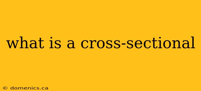 what is a cross-sectional