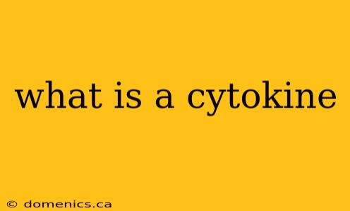 what is a cytokine