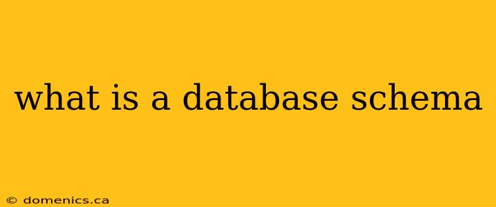 what is a database schema