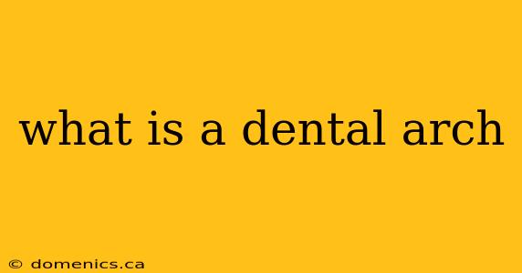 what is a dental arch