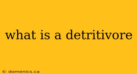 what is a detritivore