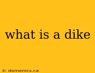 what is a dike