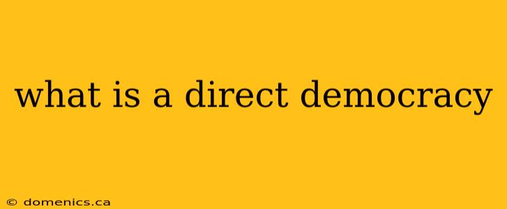 what is a direct democracy