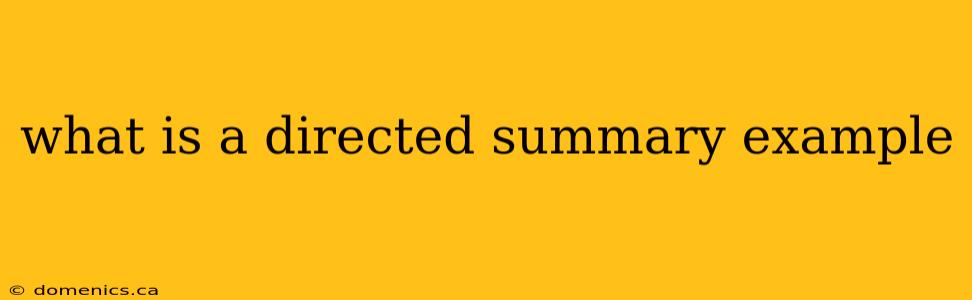 what is a directed summary example