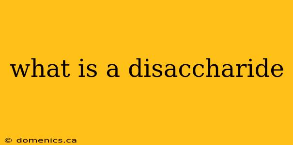 what is a disaccharide