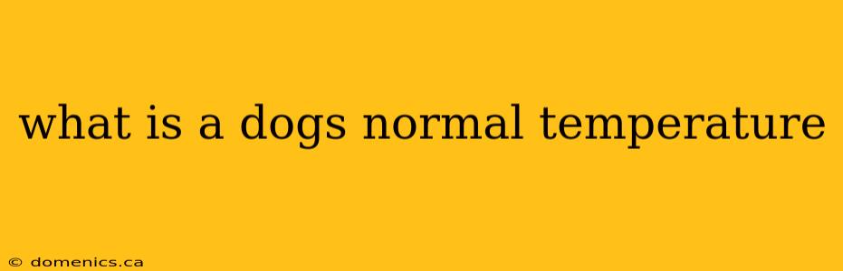 what is a dogs normal temperature