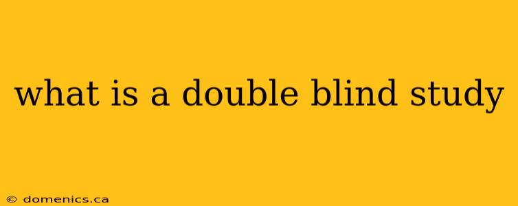 what is a double blind study