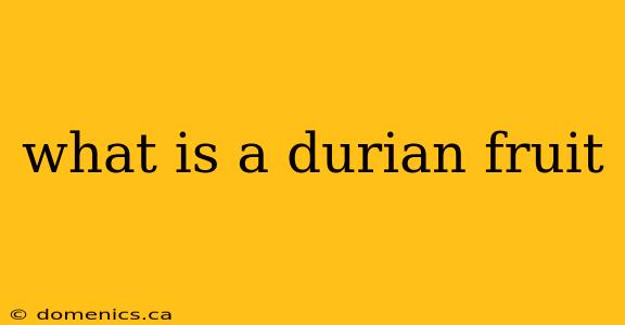 what is a durian fruit