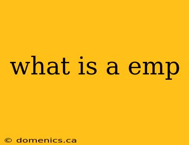 what is a emp