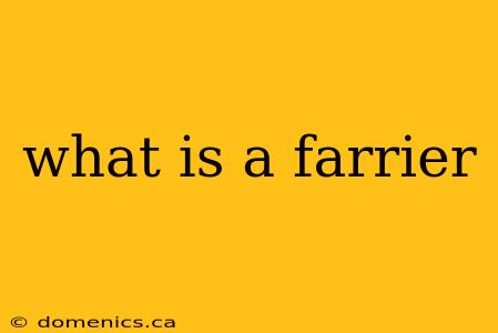 what is a farrier