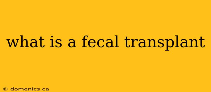 what is a fecal transplant