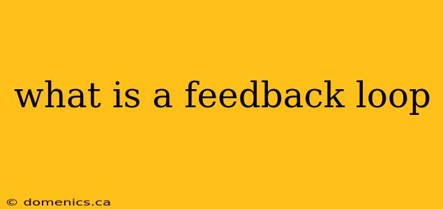 what is a feedback loop