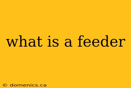 what is a feeder