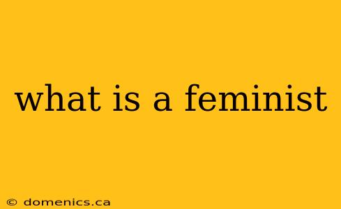 what is a feminist