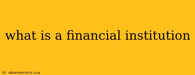 what is a financial institution