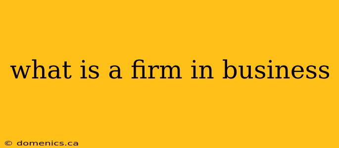 what is a firm in business