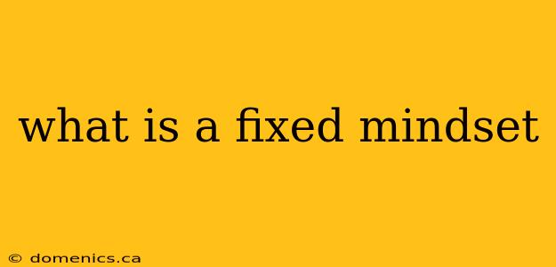 what is a fixed mindset