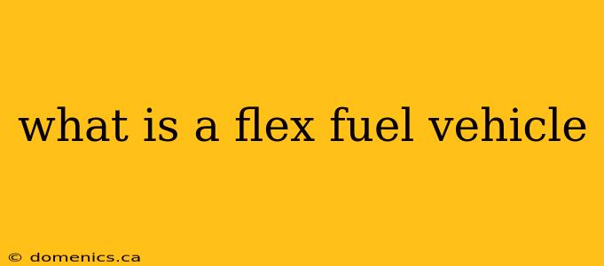 what is a flex fuel vehicle