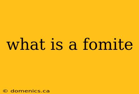 what is a fomite