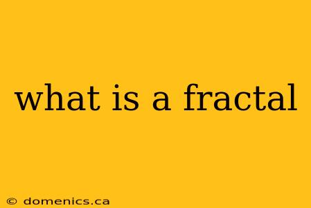 what is a fractal