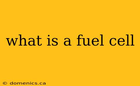 what is a fuel cell