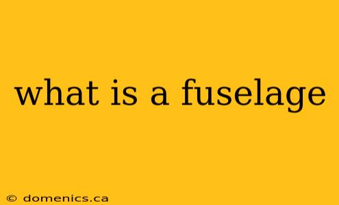 what is a fuselage