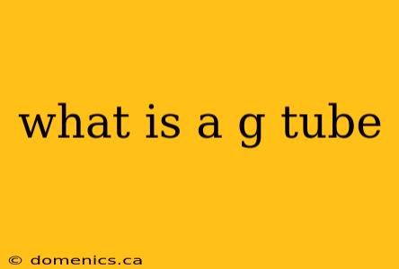 what is a g tube