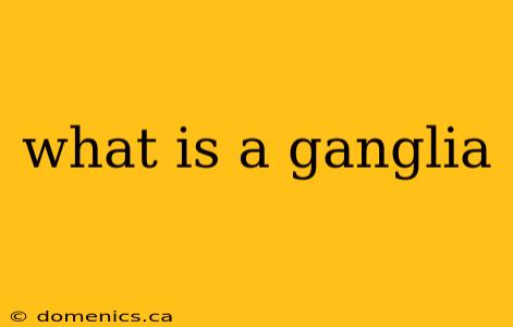 what is a ganglia