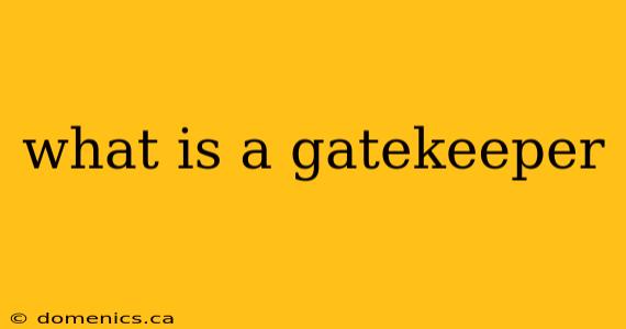 what is a gatekeeper