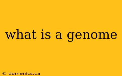 what is a genome