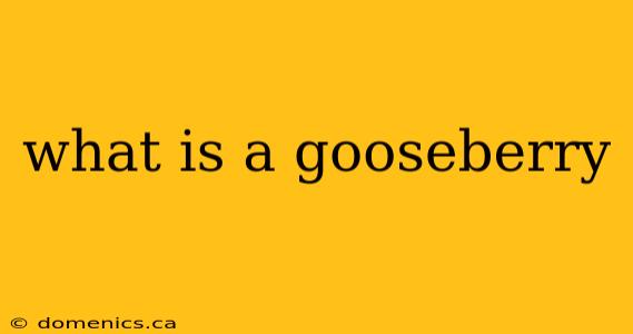 what is a gooseberry