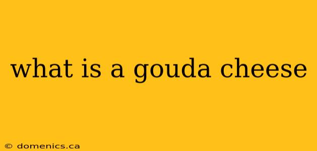 what is a gouda cheese