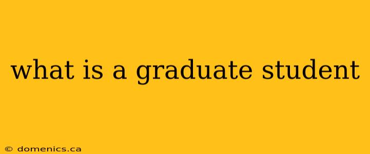 what is a graduate student