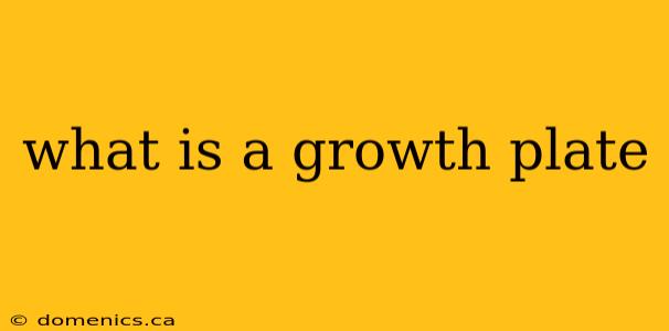 what is a growth plate