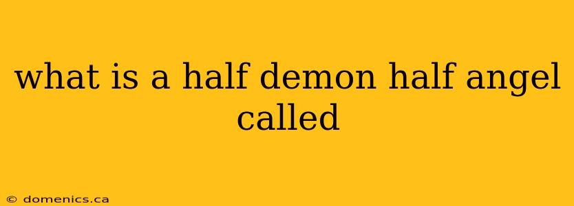 what is a half demon half angel called