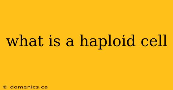 what is a haploid cell