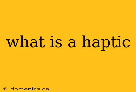 what is a haptic