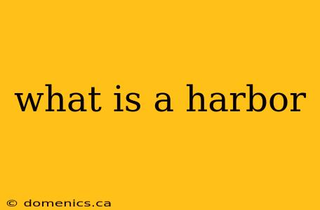 what is a harbor