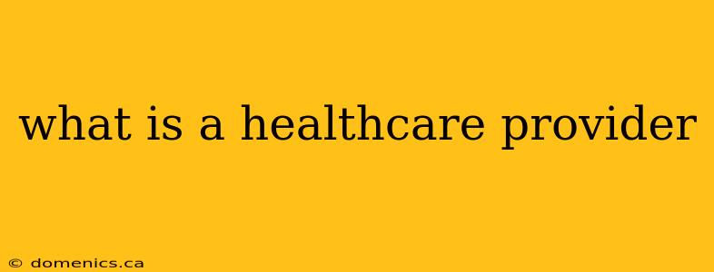 what is a healthcare provider