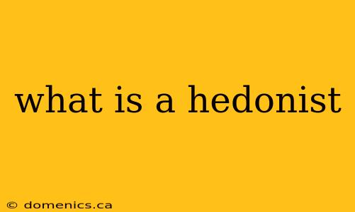 what is a hedonist