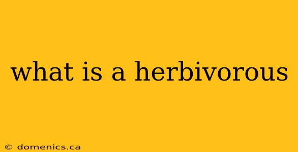 what is a herbivorous