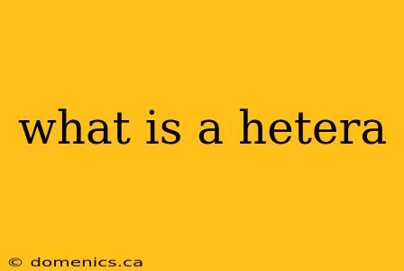 what is a hetera