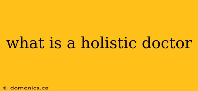 what is a holistic doctor