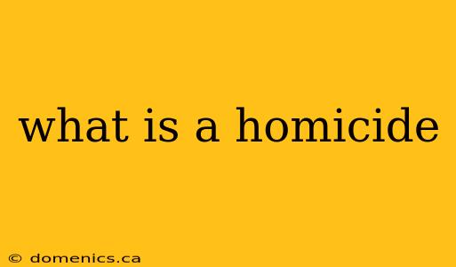 what is a homicide