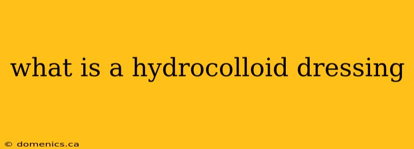 what is a hydrocolloid dressing